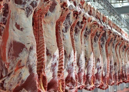 90درصد گوشت قرمز مورد نیاز از تولید داخل کشور تامین می‌شود