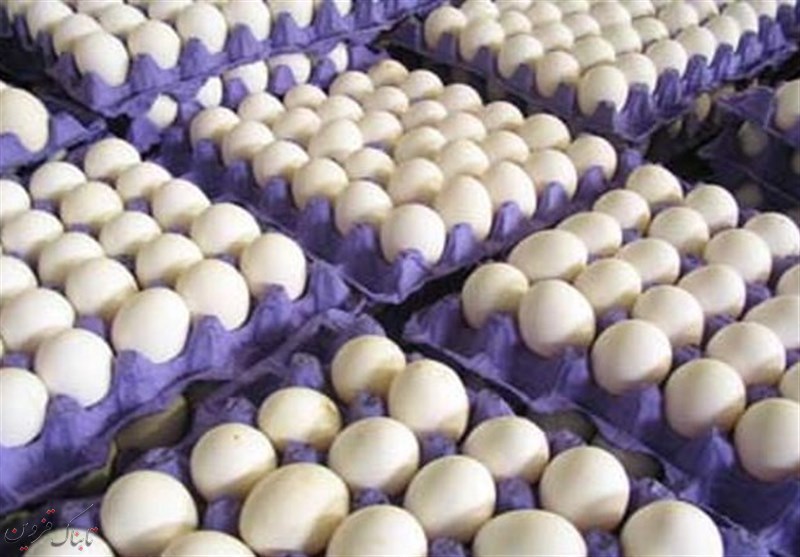 تخم مرغ های بدون مشخصات در قزوین جمع آوری می شوند