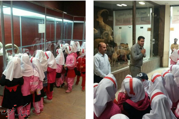 بازدید بیش از ۴۰۰ کودک از موزه تنوع زیستی محمدیه قزوین