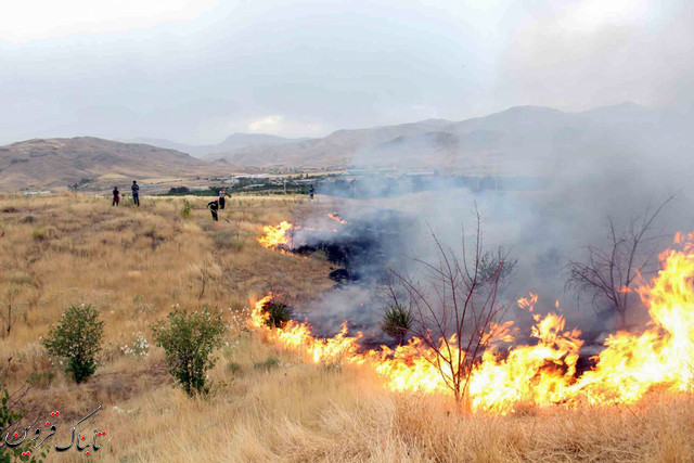 آتش سوزی مراتع در الموت قزوین مهار شد