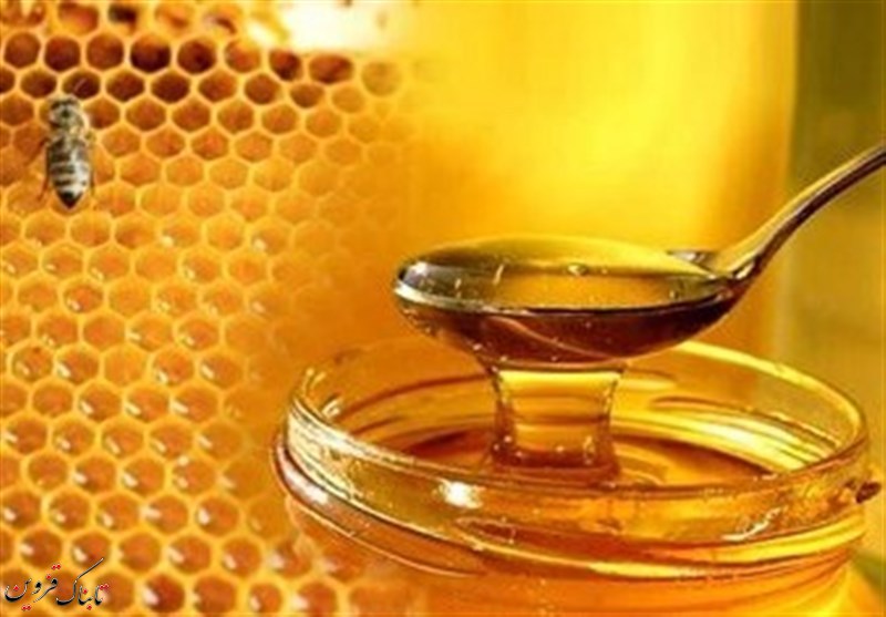 سالانه ۹۵۰ تن عسل در زنبورستان های استان قزوین تولید می شود