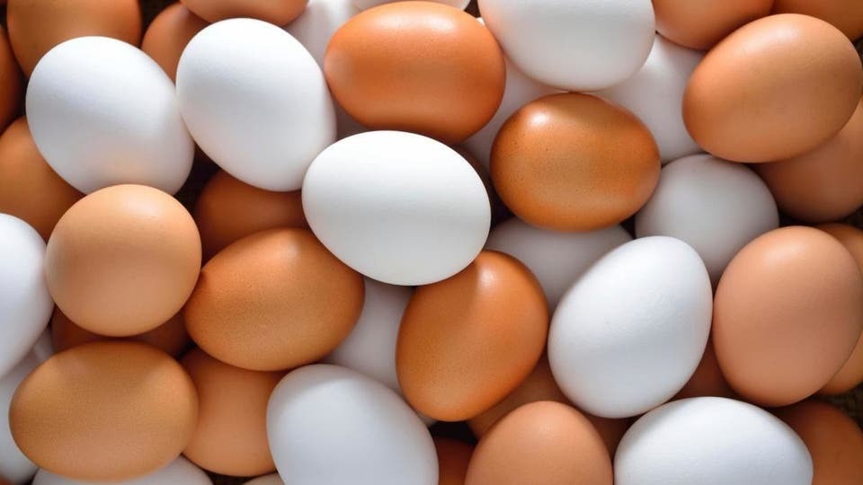 بیش از 1800 کیلو تخم مرغ قهوه ای فاسد در آبیک معدوم شد