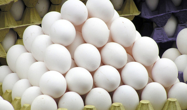 650 تن تخم مرغ در مرغداری های شهرستان البرز تولید شد