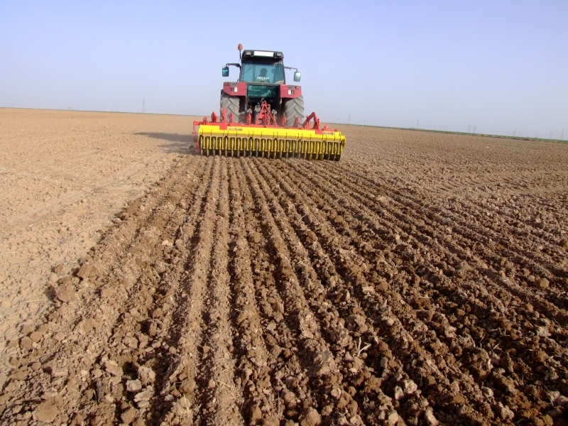 ۶۰۰۰۰ هکتار از اراضی استان به روش کشاورزی حفاظتی به زیر کشت گندم رفته است