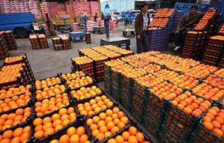 توزیع 800 تن پرتقال در استان یزد